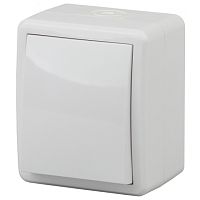 Переключатель накладной Эра Эксперт 1-кл. проходной IP54 белый картинка